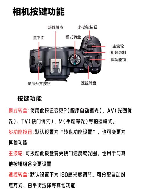 佳能20d实拍？佳能20d什么时候上市的？-第4张图片-优品飞百科
