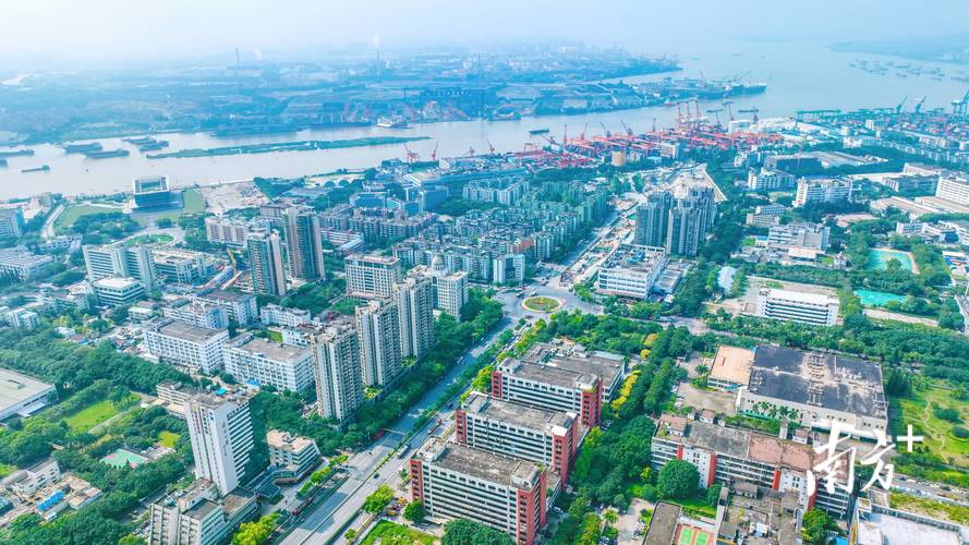 黄埔李疫情？广卅黄埔疫情？-第7张图片-优品飞百科