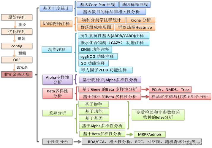宏基因组测序分析流程，宏基因组测序分析流程PPT？