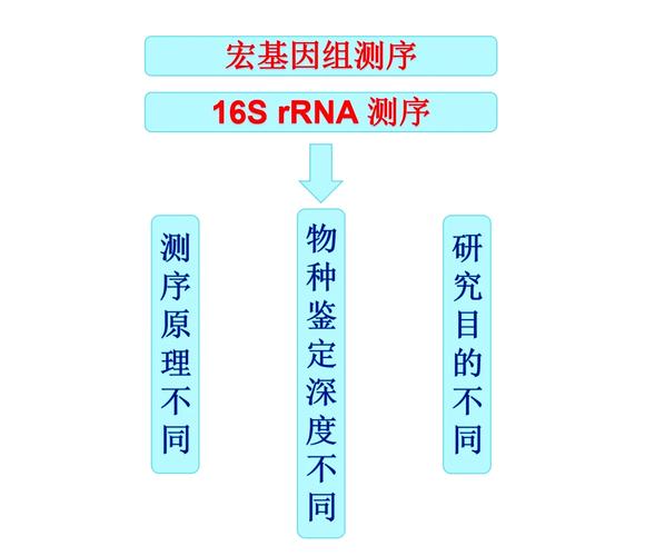 宏基因组测序分析流程，宏基因组测序分析流程PPT？-第2张图片-优品飞百科