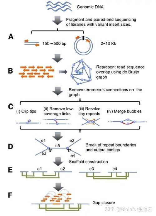宏基因组测序分析流程，宏基因组测序分析流程PPT？-第3张图片-优品飞百科