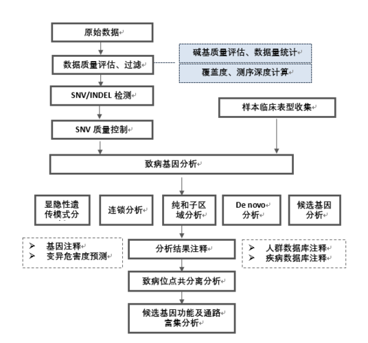 宏基因组测序分析流程，宏基因组测序分析流程PPT？-第4张图片-优品飞百科