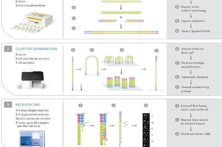 宏基因组测序分析流程，宏基因组测序分析流程PPT？-第5张图片-优品飞百科