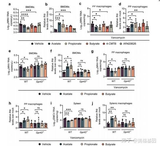 宏基因组测序分析流程，宏基因组测序分析流程PPT？-第7张图片-优品飞百科
