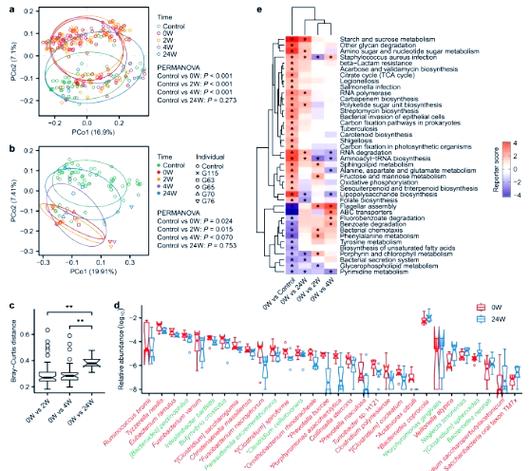 宏基因组测序分析流程，宏基因组测序分析流程PPT？-第8张图片-优品飞百科