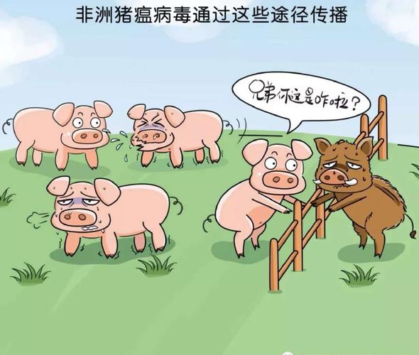 猪瘟疫情通报，猪瘟最新动态？-第2张图片-优品飞百科