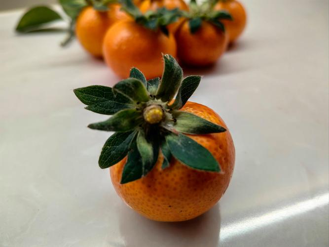 疫情下砂糖橘？疫情期间沙糖桔能吃吗？