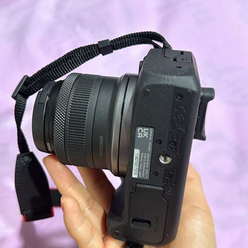 佳能家用相机哪款好，佳能家用摄像机哪款好-第2张图片-优品飞百科