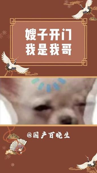 疫情在我哥，在疫情期间我看到？-第3张图片-优品飞百科