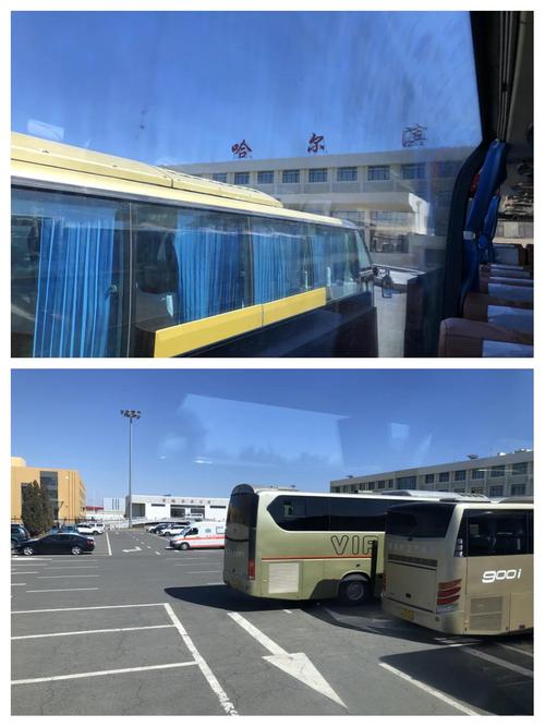 绥棱今天疫情，绥棱疫情确诊名单-第2张图片-优品飞百科