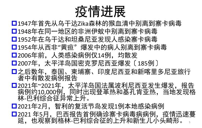 美国巴西疫情失控的简单介绍-第5张图片-优品飞百科