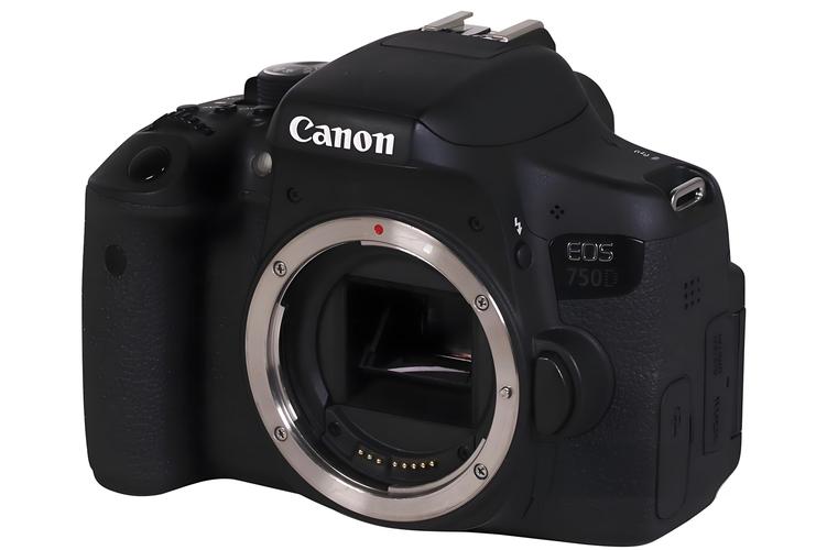 佳能单反相机什么型号的好？佳能单反数码相机哪个型号好？-第6张图片-优品飞百科