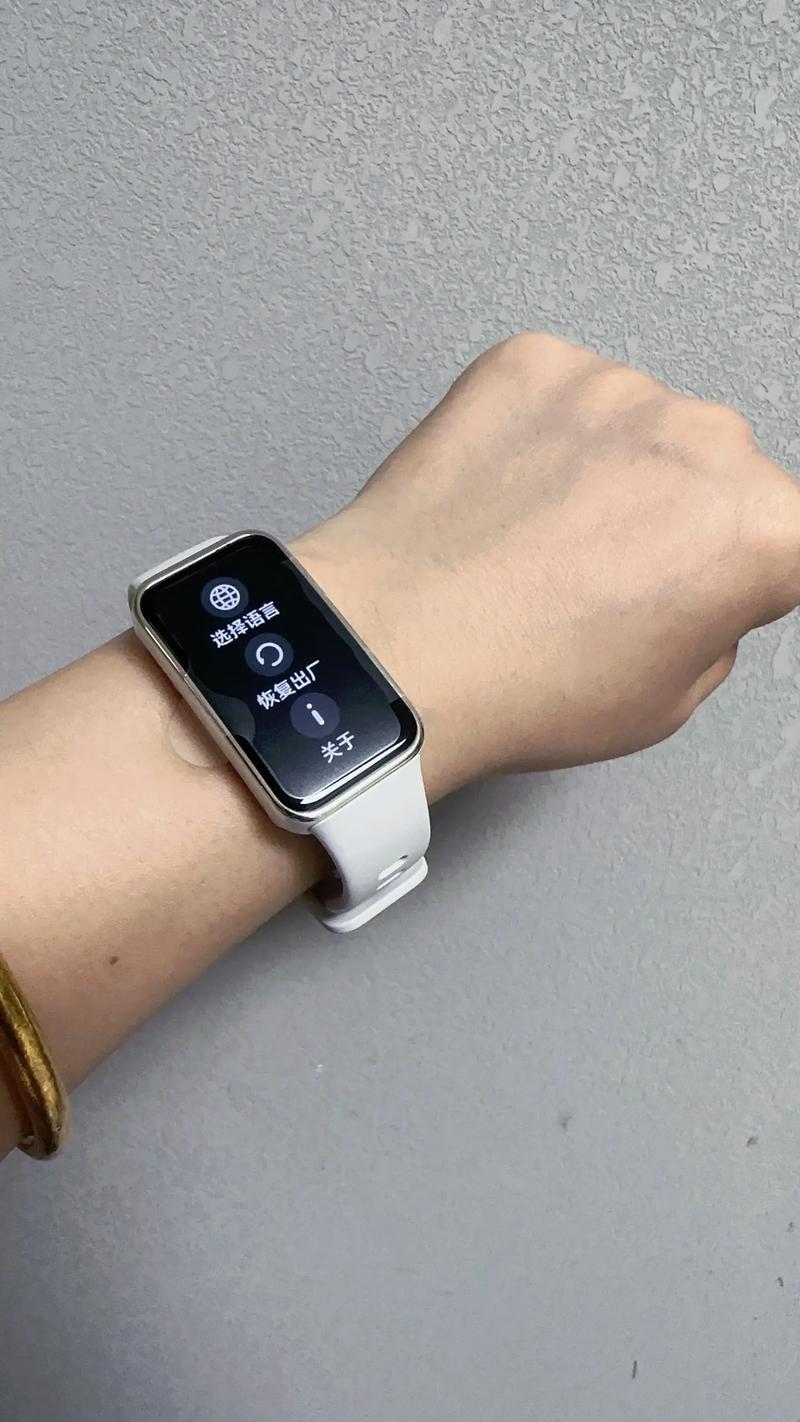 华为手环哪款有gps，华为手环哪款有通知医院？-第2张图片-优品飞百科