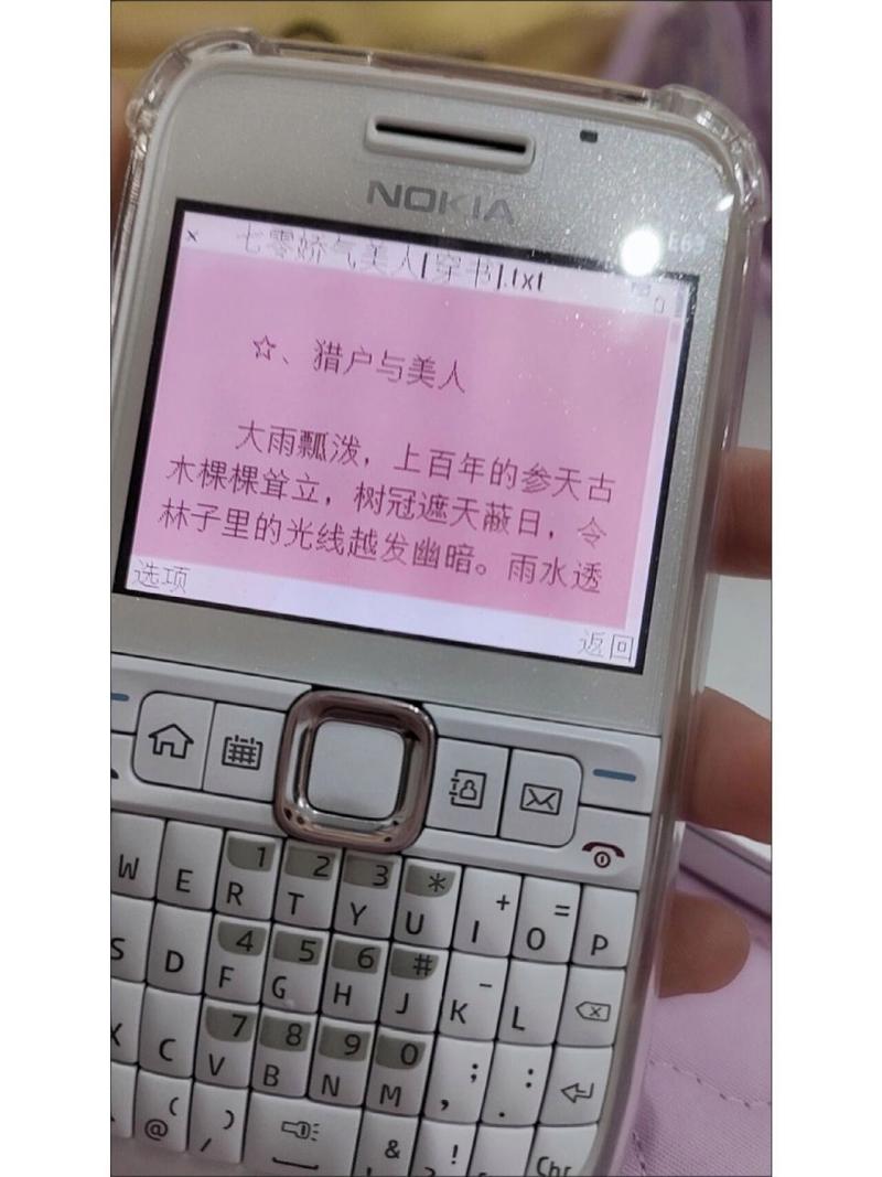 诺基亚e63怎么解锁密码，诺基亚e66怎么解锁？-第1张图片-优品飞百科