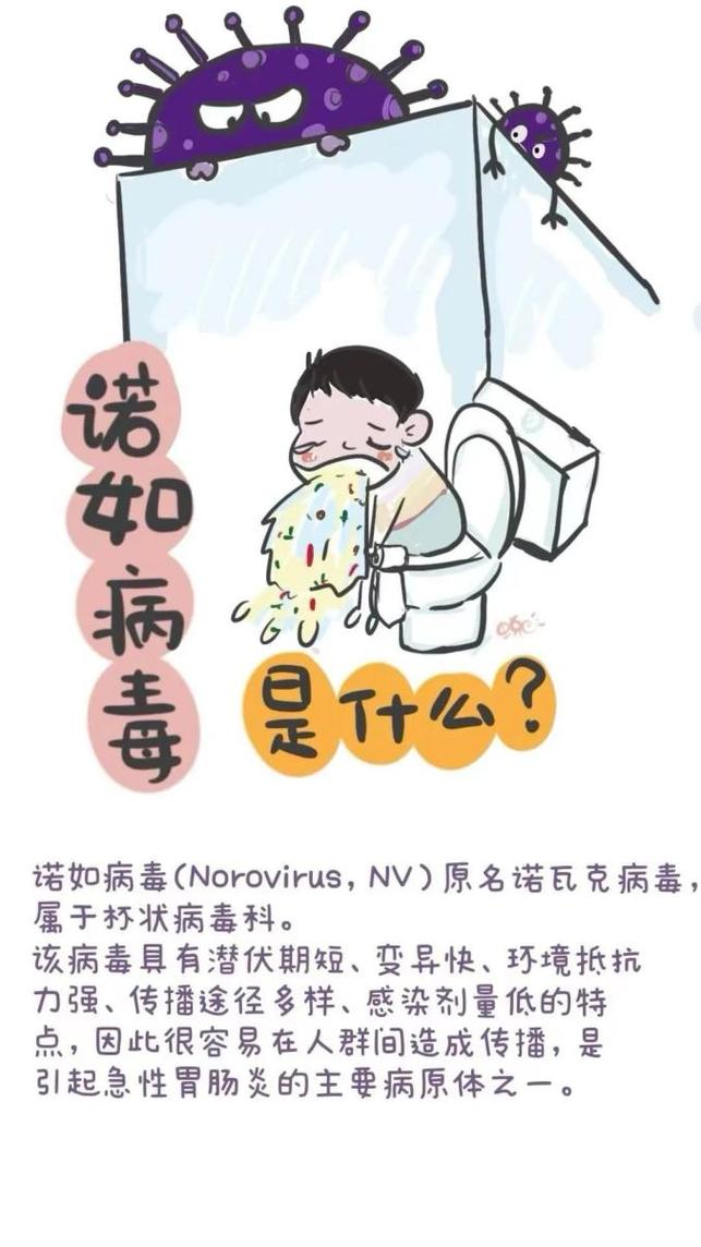 春节远离疫情？春节临近疫情切不可忽视？-第8张图片-优品飞百科