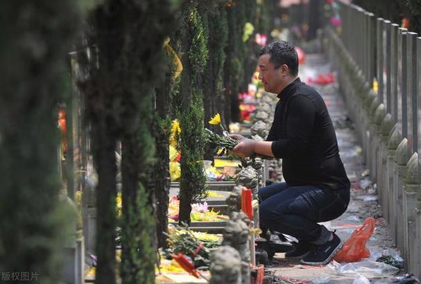 疫情回家扫墓？疫情期间清明扫墓？-第1张图片-优品飞百科