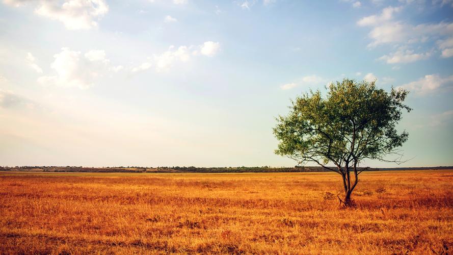 台式电脑桌面分辨率多少合适，台式电脑分辨率调到多少合适-第2张图片-优品飞百科