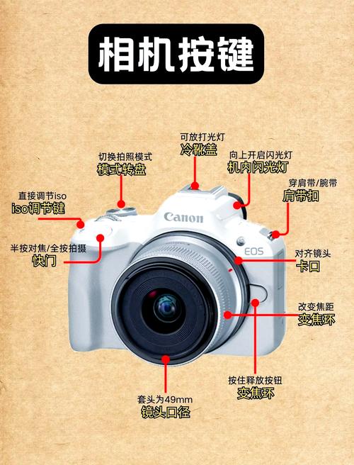 佳能50d怎么调光圈，佳能550d光圈设置-第4张图片-优品飞百科