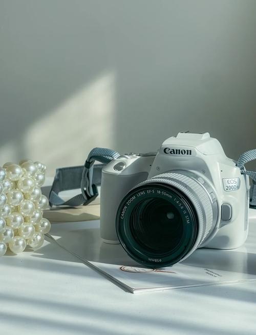 佳能200d二代套机，佳能200d第二代-第2张图片-优品飞百科