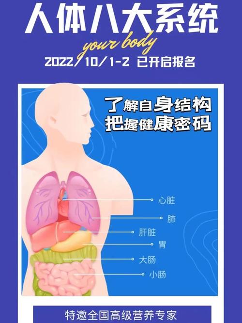 八大系统疾病有哪些，八大系统疾病有哪些种类？-第1张图片-优品飞百科
