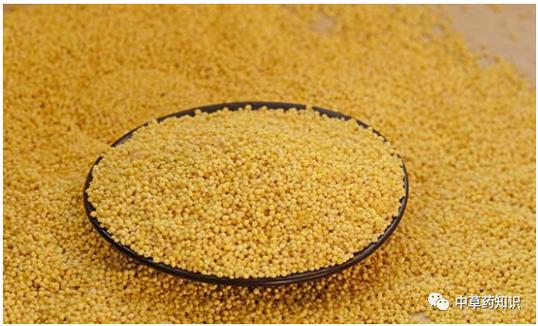 绿色的小米是什么米？有绿色的小米吗?？-第3张图片-优品飞百科