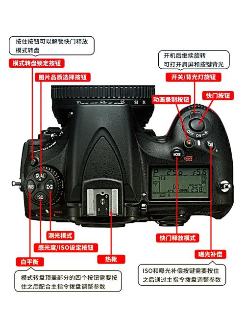 佳能eos600d遥控拍照，佳能600d怎么用手机遥控-第1张图片-优品飞百科