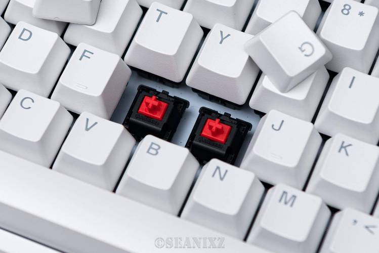 cherry机械键盘mx系列区别，cherry键盘mx2和mx3？-第4张图片-优品飞百科