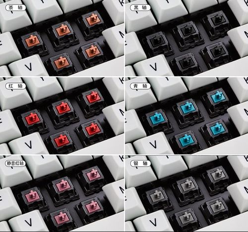 cherry机械键盘mx系列区别，cherry键盘mx2和mx3？-第5张图片-优品飞百科
