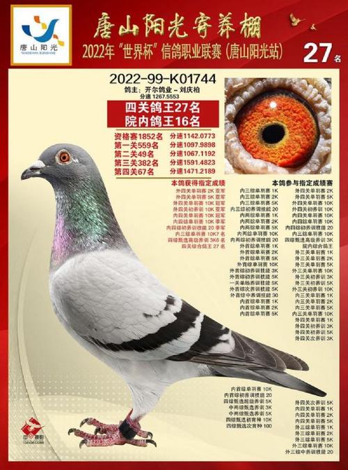 疫情测温帐篷，疫情测温仪？-第2张图片-优品飞百科