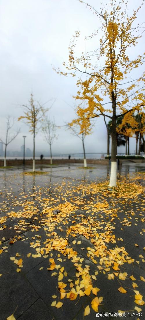 浙江省绍兴市天气？浙江绍兴市的天气？-第3张图片-优品飞百科