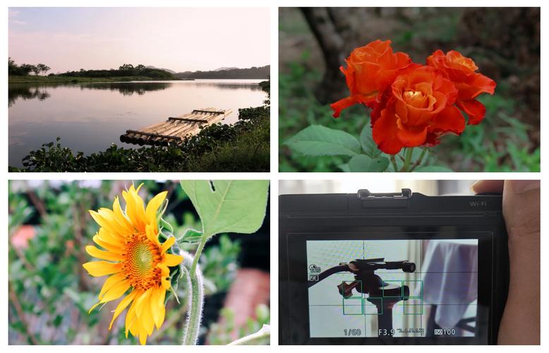 佳能相机g12费用？佳能g12值得入手吗？-第3张图片-优品飞百科