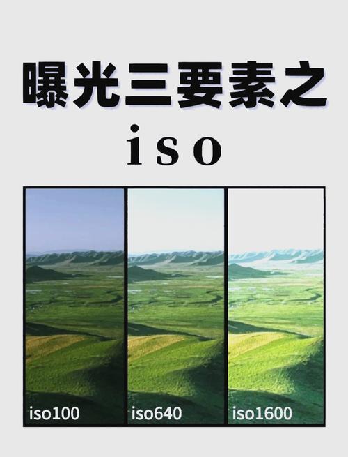 数码相机宽容度排名？相机宽容度高低图片对比？-第4张图片-优品飞百科
