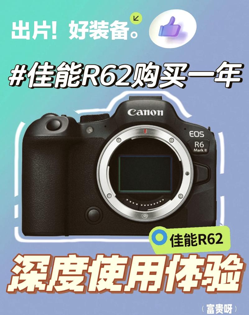 数码相机宽容度排名？相机宽容度高低图片对比？-第5张图片-优品飞百科