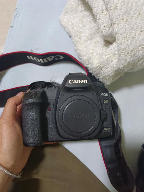 佳能5d2网友点评，佳能5d2优点和缺点？-第1张图片-优品飞百科
