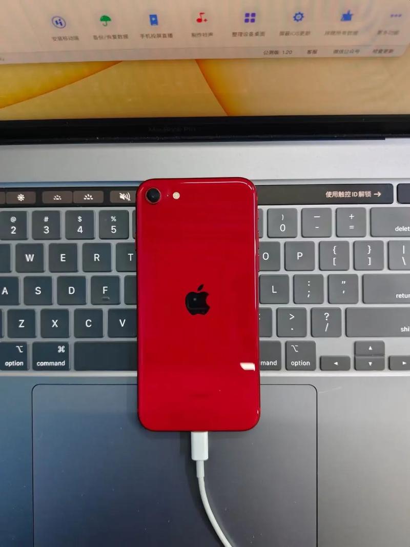 苹果7plus红色多少钱,苹果七plus红色-第5张图片-优品飞百科 苹果7plus红色多少钱,苹果七plus红色-第5张图片-优品飞百科