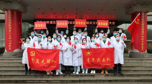 武汉疫情图报，武汉疫情图报最新消息-第2张图片-优品飞百科