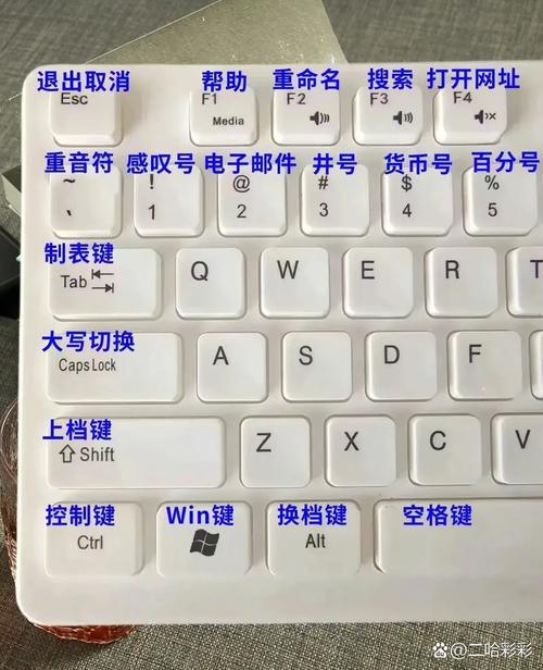 键盘怎么按都没反应怎么回事？键盘怎么按都没反应怎么办？-第7张图片-优品飞百科