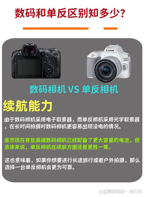 傻瓜相机和ccd哪个好,傻瓜相机和手机比哪个好?-第6张图片-优品飞百科 傻瓜相机和ccd哪个好,傻瓜相机和手机比哪个好?-第6张图片-优品飞百科