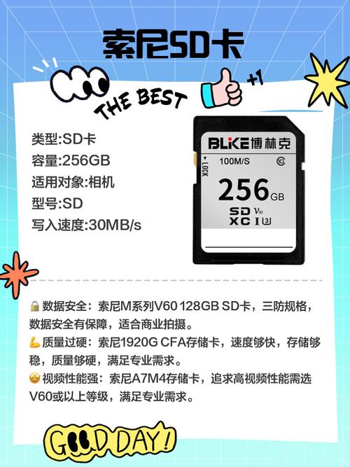 tf内存卡排名？TF内存卡排名前十品牌？-第4张图片-优品飞百科