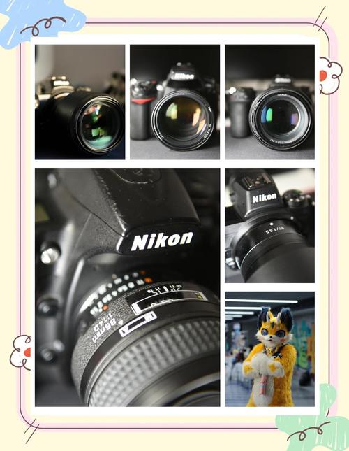 尼康d700对比d7000,尼康D700对比D800-第2张图片-优品飞百科 尼康d700对比d7000,尼康D700对比D800-第2张图片-优品飞百科