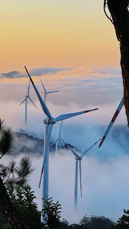 罗定疫情情况？罗定疫情最新消息2020？-第4张图片-优品飞百科