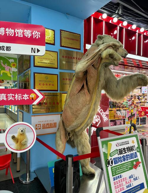 疫情公益展，疫情公益宣传画？-第7张图片-优品飞百科