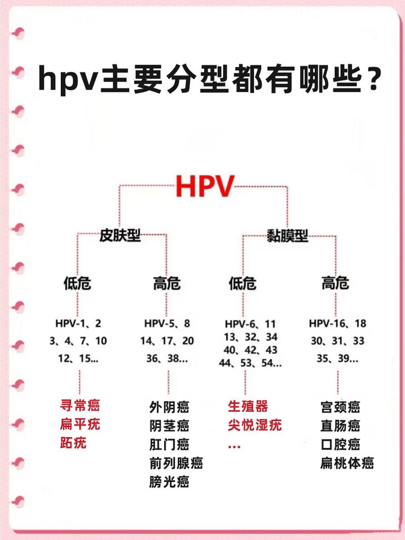 高危hpv严重排名表，高危hpv严重排名表最新-第1张图片-优品飞百科