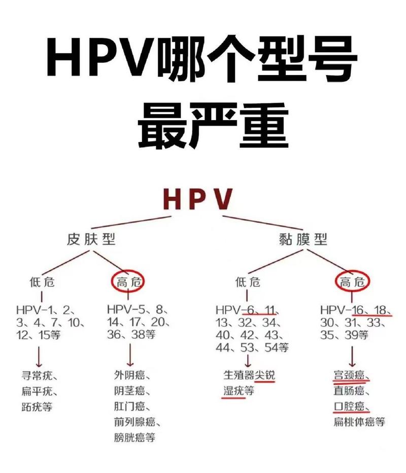 高危hpv严重排名表，高危hpv严重排名表最新-第2张图片-优品飞百科