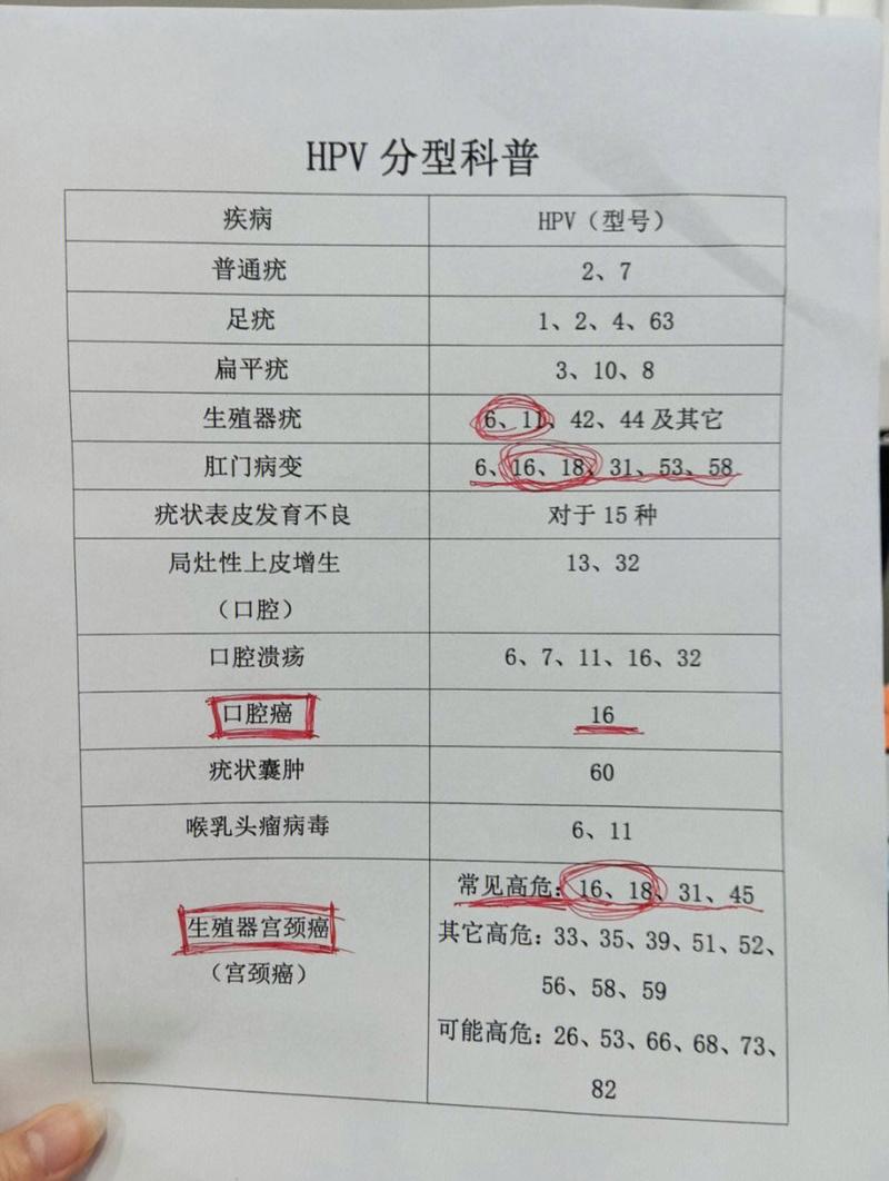 高危hpv严重排名表，高危hpv严重排名表最新-第3张图片-优品飞百科