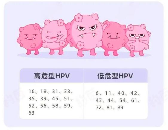 高危hpv严重排名表，高危hpv严重排名表最新-第4张图片-优品飞百科