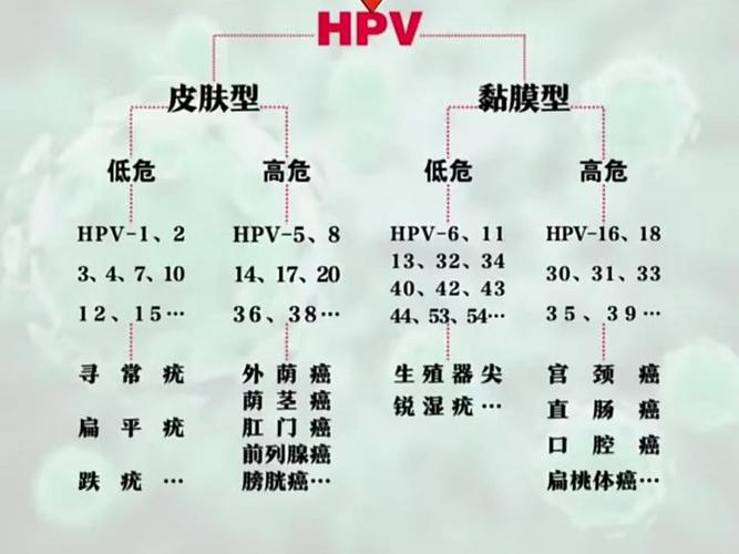 高危hpv严重排名表，高危hpv严重排名表最新-第5张图片-优品飞百科