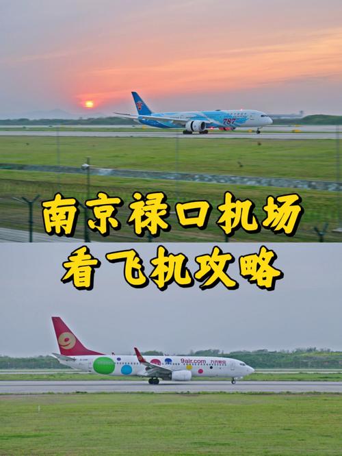 疫情期间机场如何?疫情期间机场流程?-第6张图片-优品飞百科 疫情期间机场如何?疫情期间机场流程?-第6张图片-优品飞百科