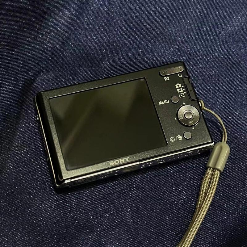 索尼w190是哪一年？索尼dscw190怎么样？-第5张图片-优品飞百科