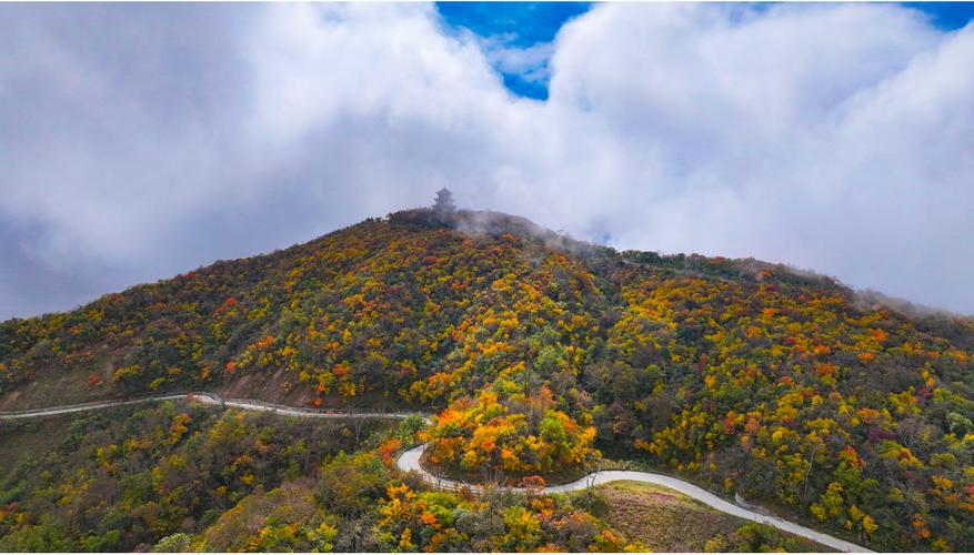 浙江海宁天气预报?海宁天气预报预计?-第2张图片-优品飞百科 浙江海宁天气预报?海宁天气预报预计?-第2张图片-优品飞百科